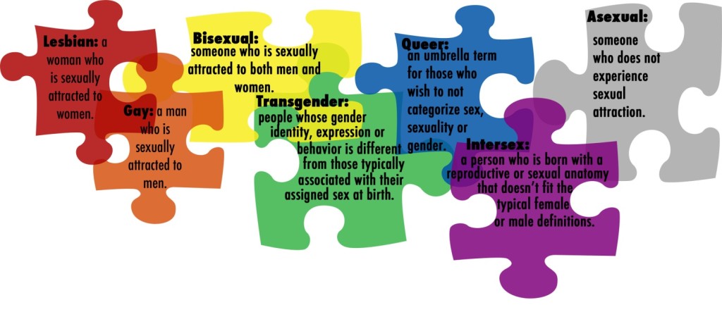 LGBTQIA puzzle graphic