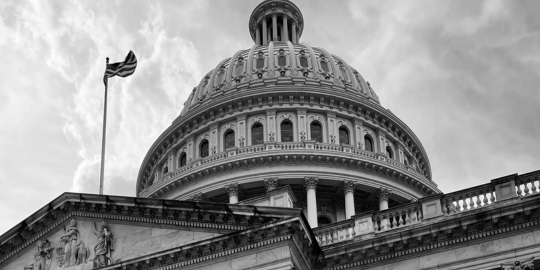 Government Shutdown