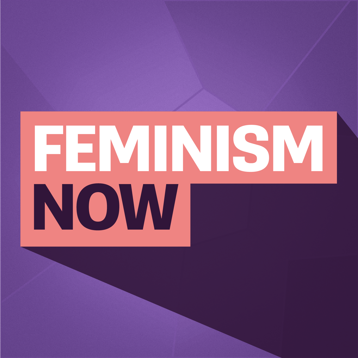 Feminism NOW Podcast